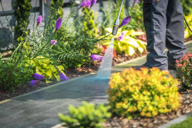 Best Driveway Pressure Washing  in Forest City, PA