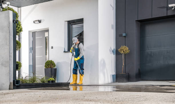 Best Roof Washing  in Forest City, PA
